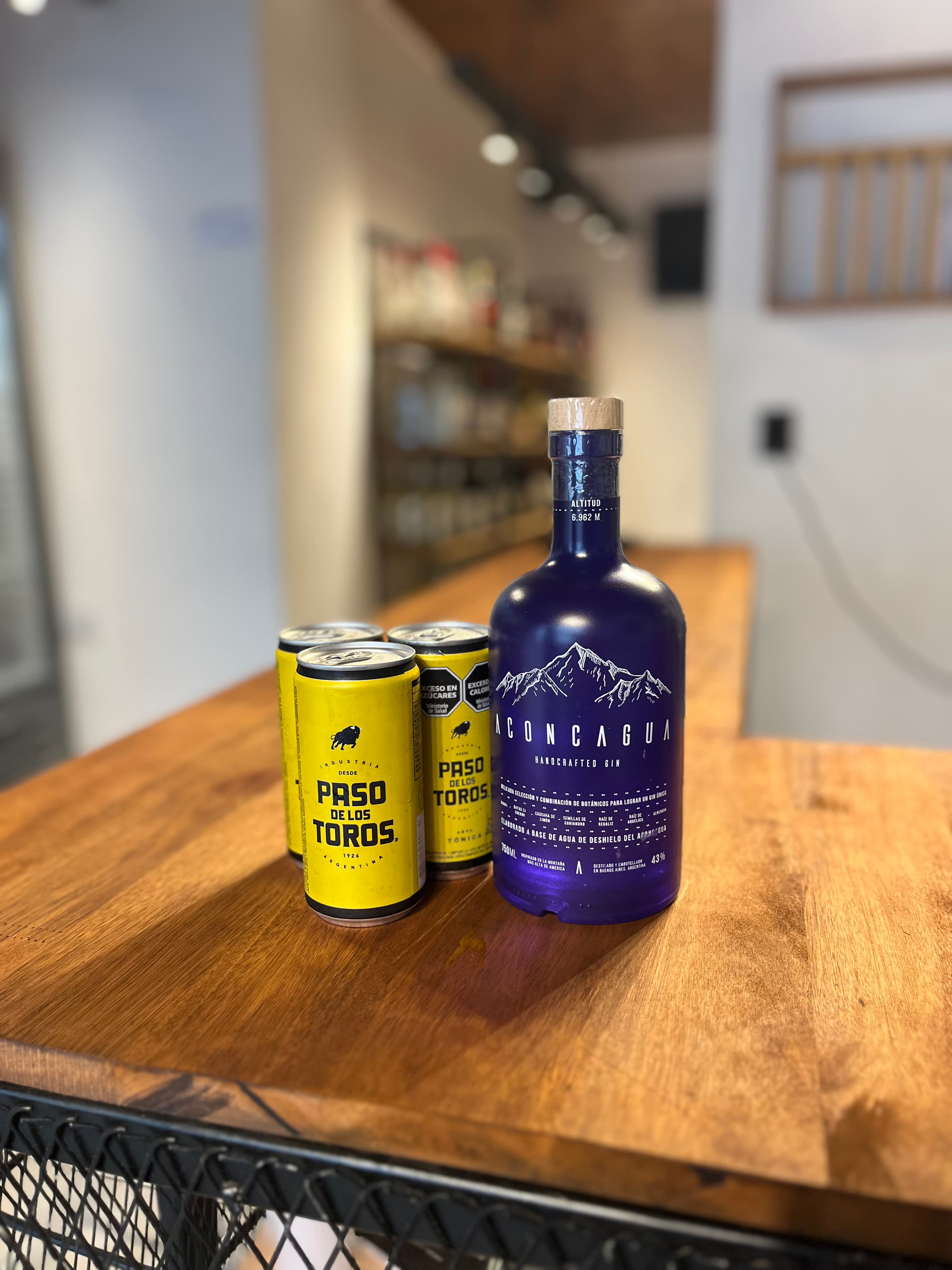 Gin y tonic Aconcagua 