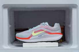  Nike Winflo 11