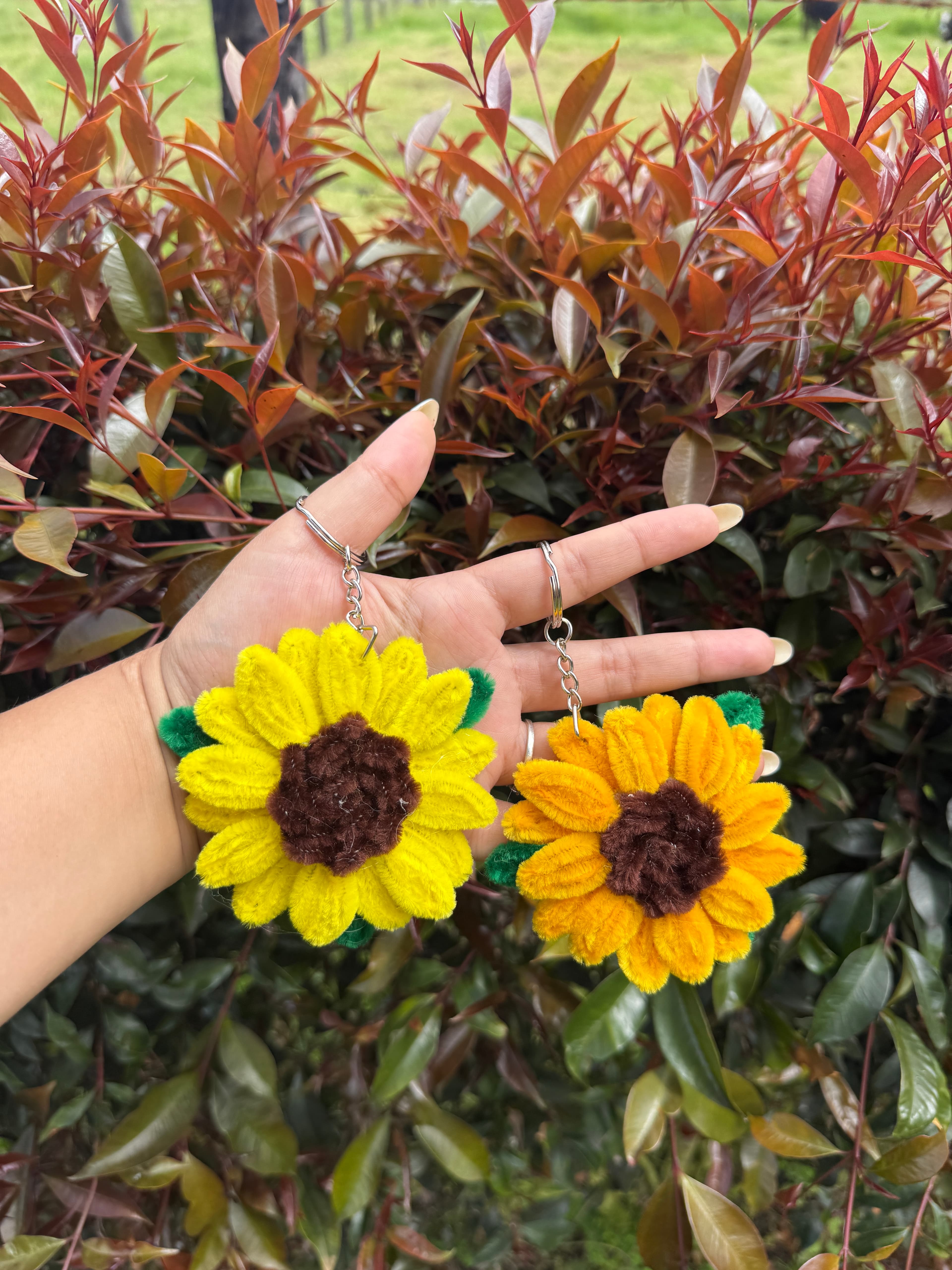 Sunshine Bloom