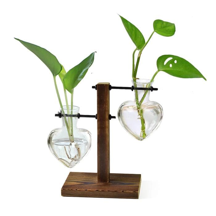 Terrario Hidropónico Retro con Soporte de Madera (2 Niveles) - Jarrón de Bombilla de Vidrio para Plantas Acuáticas y Decoración de Oficina y Hogar