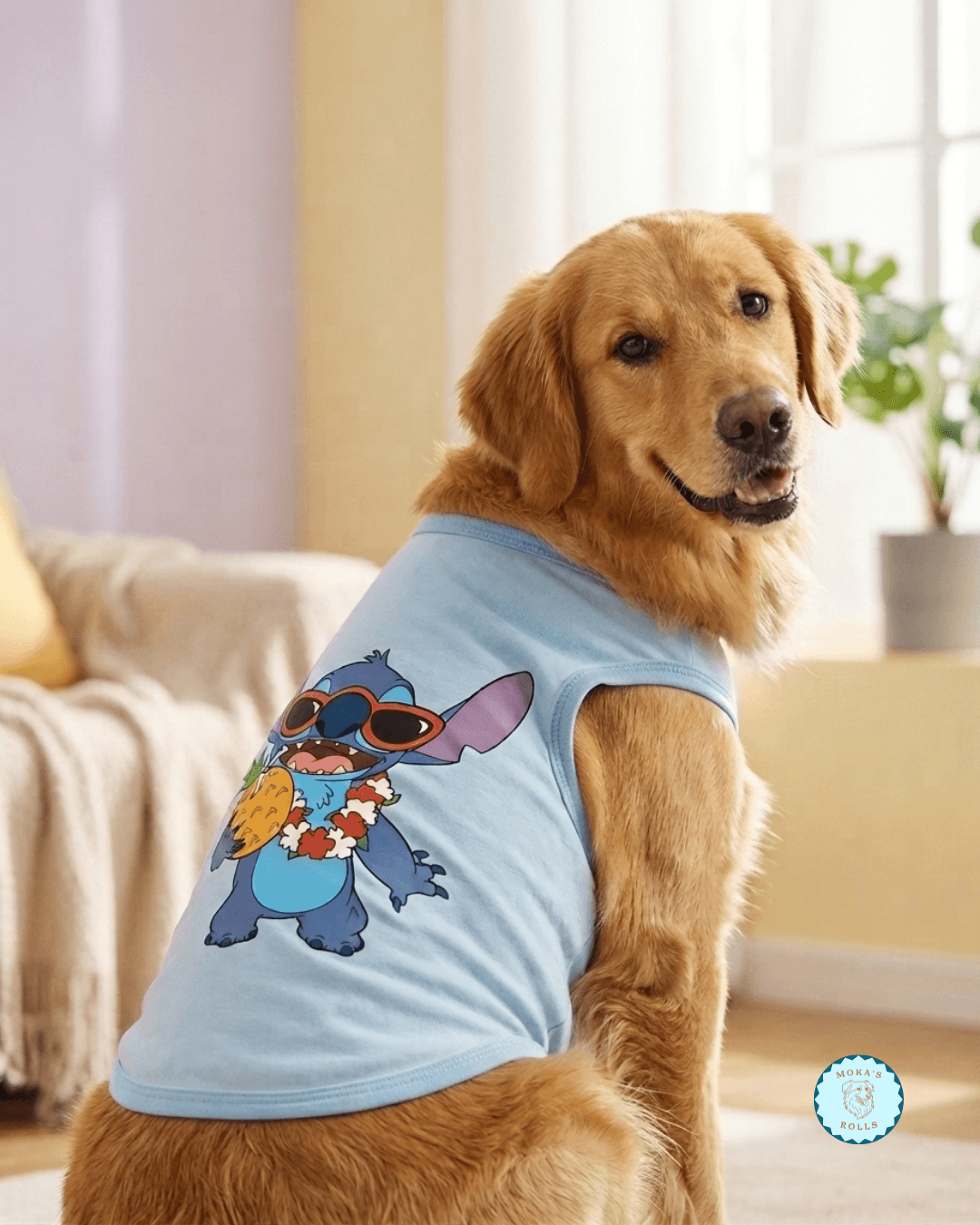 Chaleco Stitch