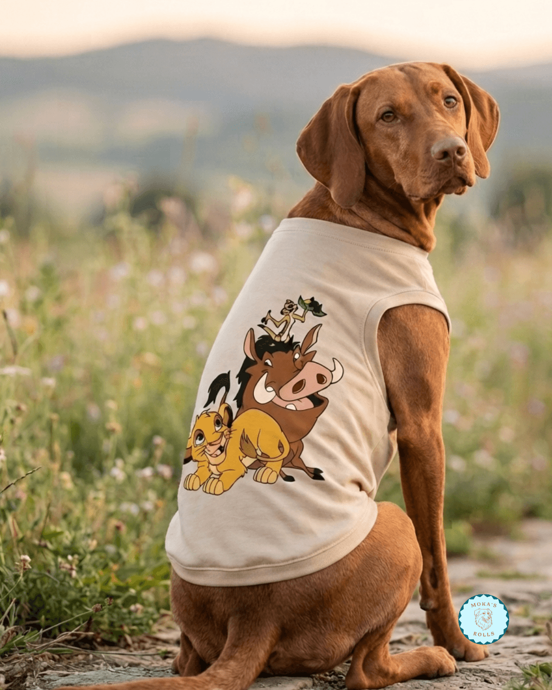 Chaleco El Rey León