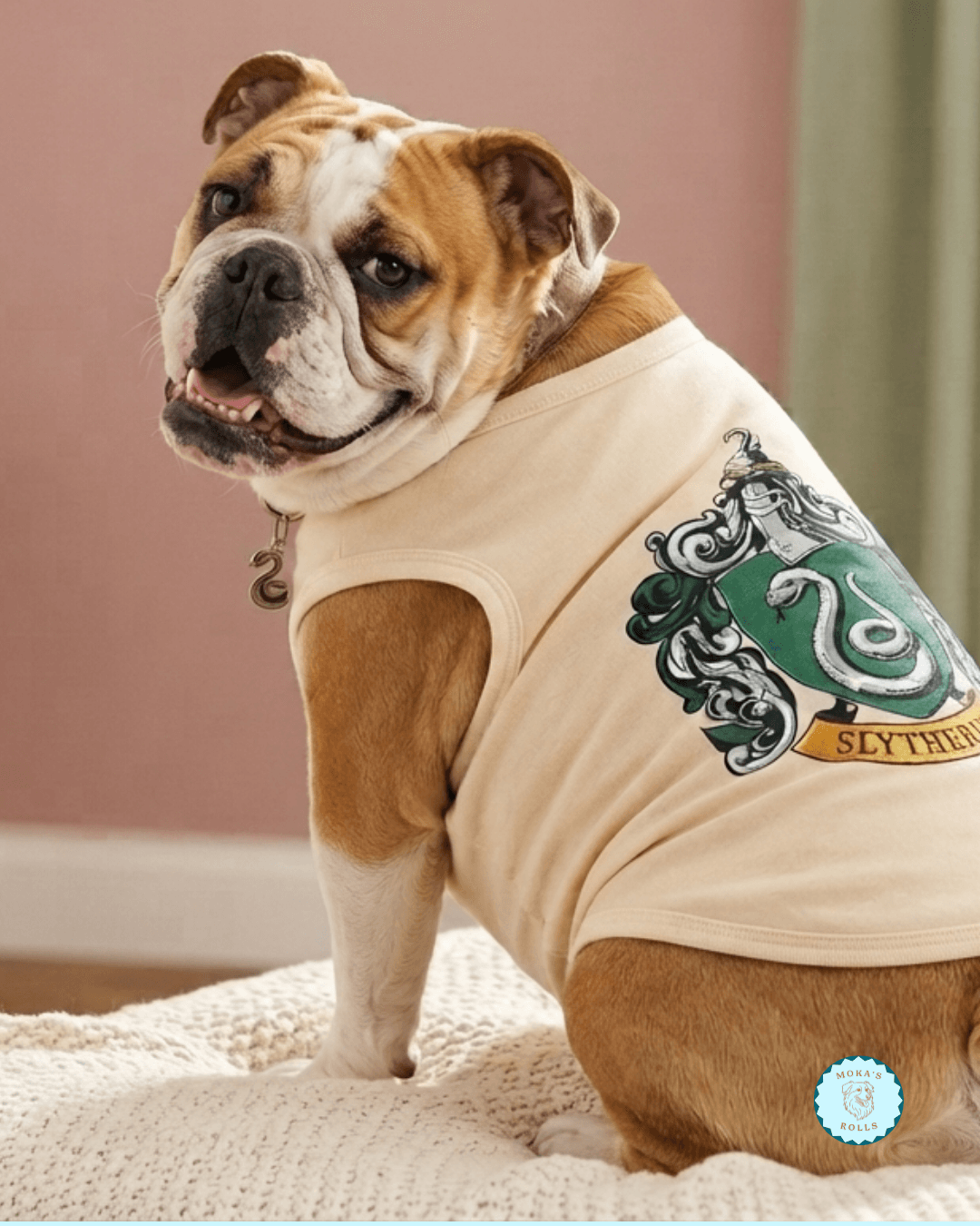 Chaleco Gryffindor/Slytherin
