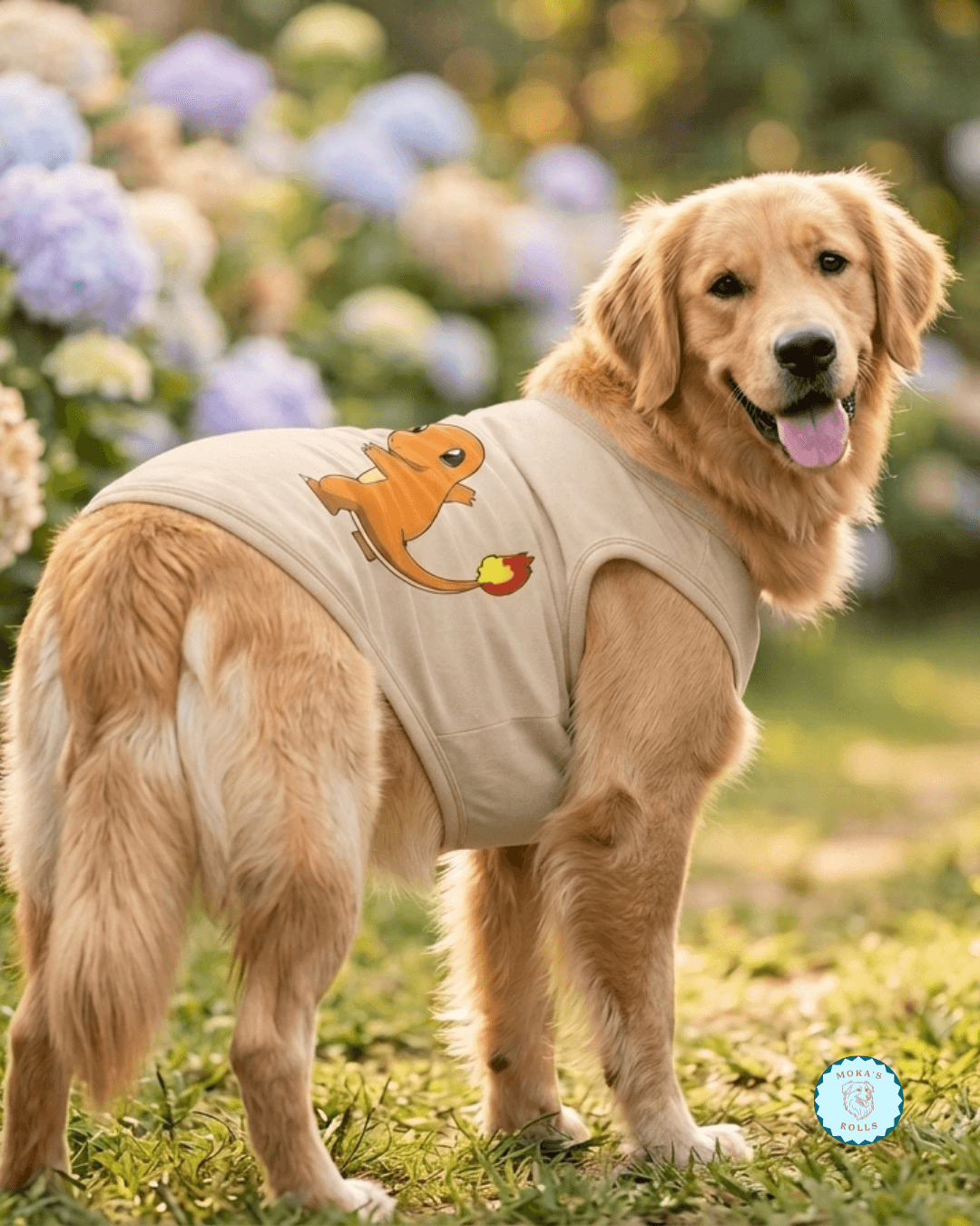 Chaleco Charmander