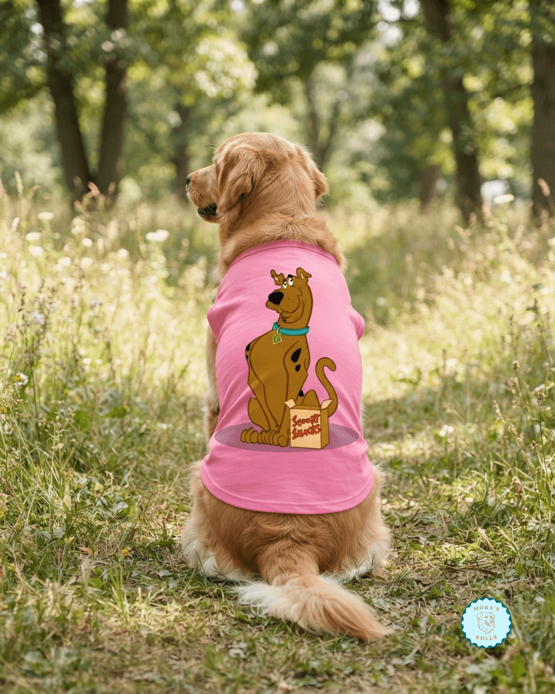 Chaleco Scooby Doo