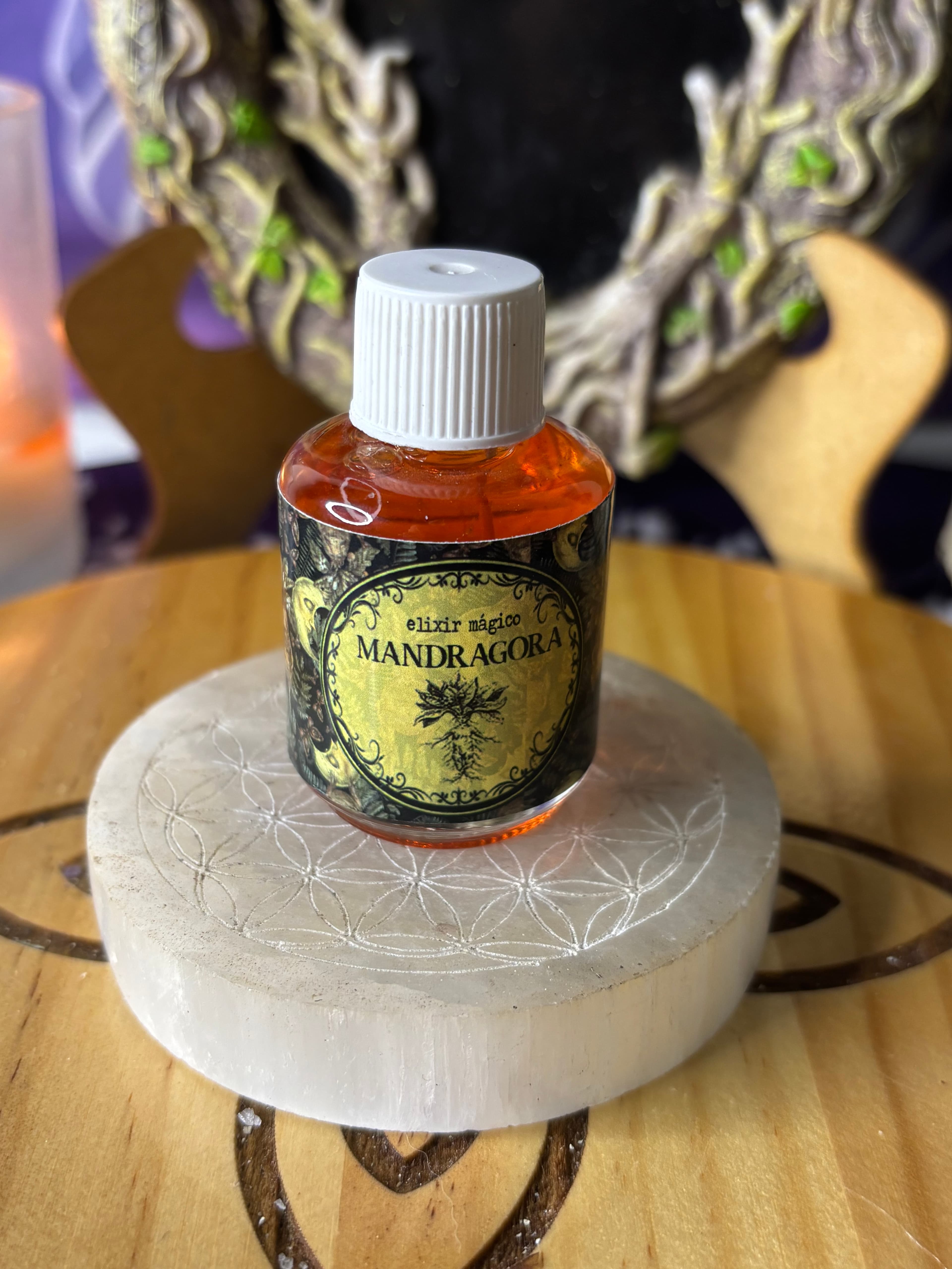 Mandragora, elixir de protección 
