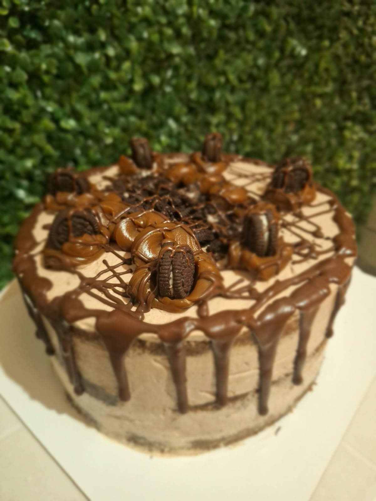 Torta de chocolate desnuda 