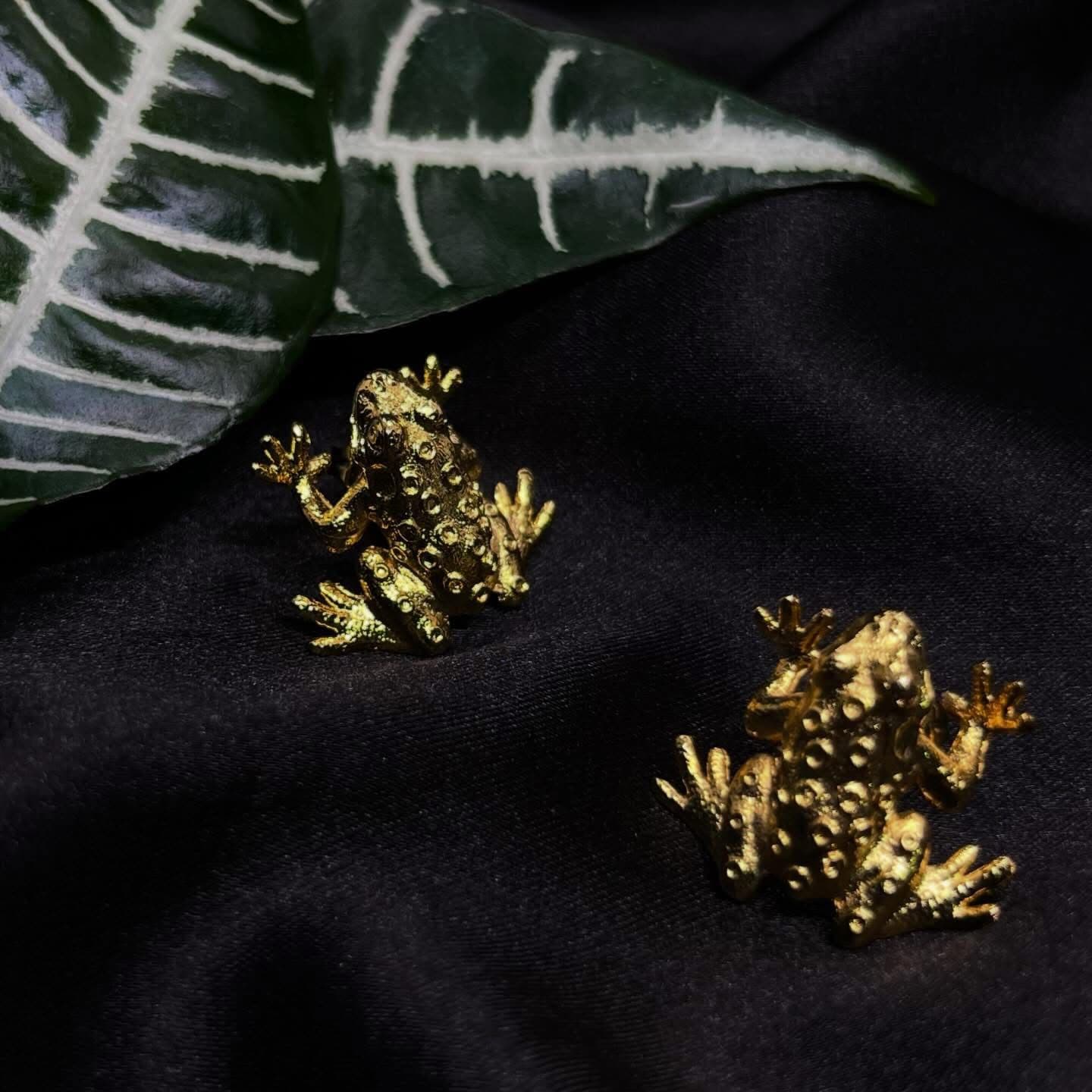 ARETES RANAS PRECOLOMBINAS