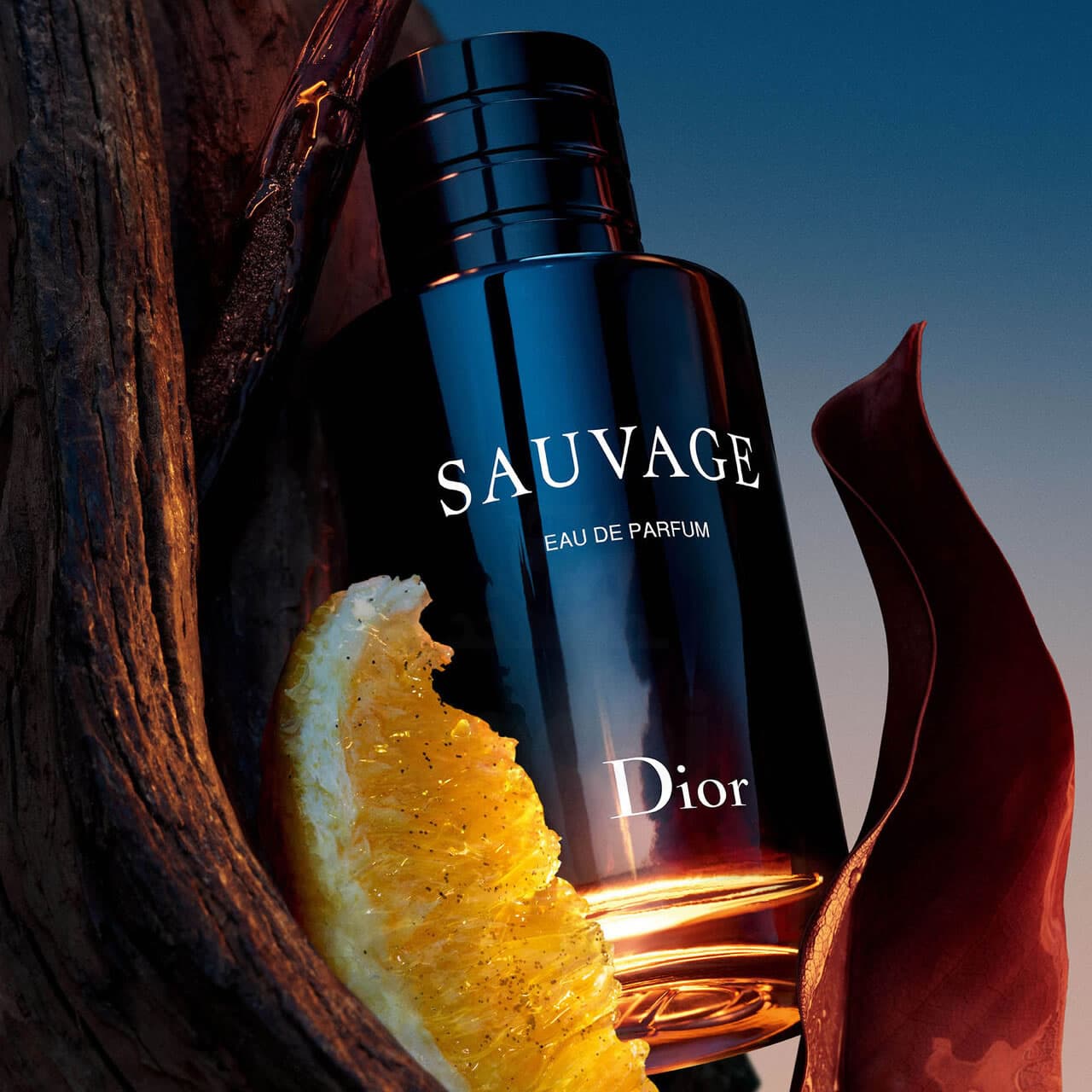 Souvage Edp Dior 100ml