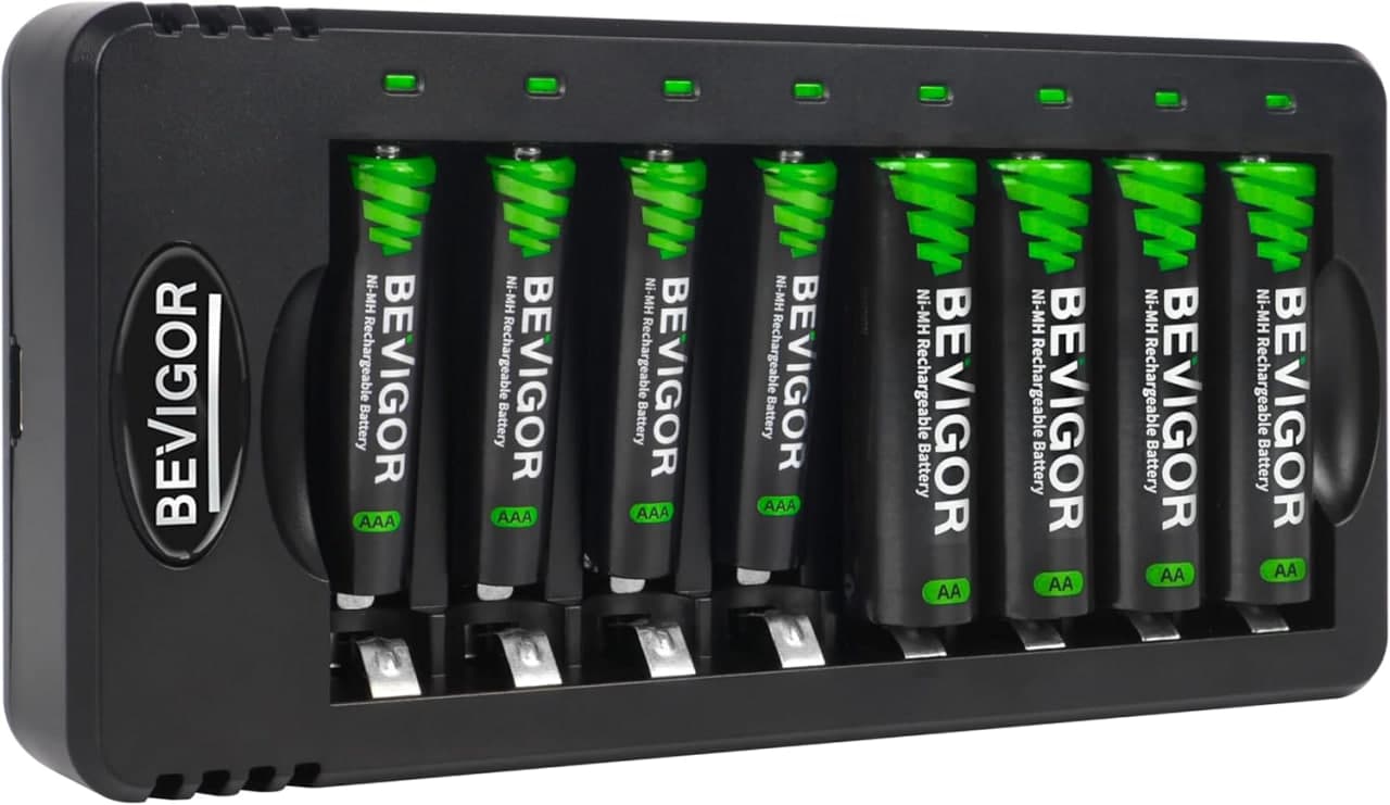 Cargador inteligente BEVIGOR de 8 compartimentos con 8 baterias recargables incluidas(4AAA+4AA)