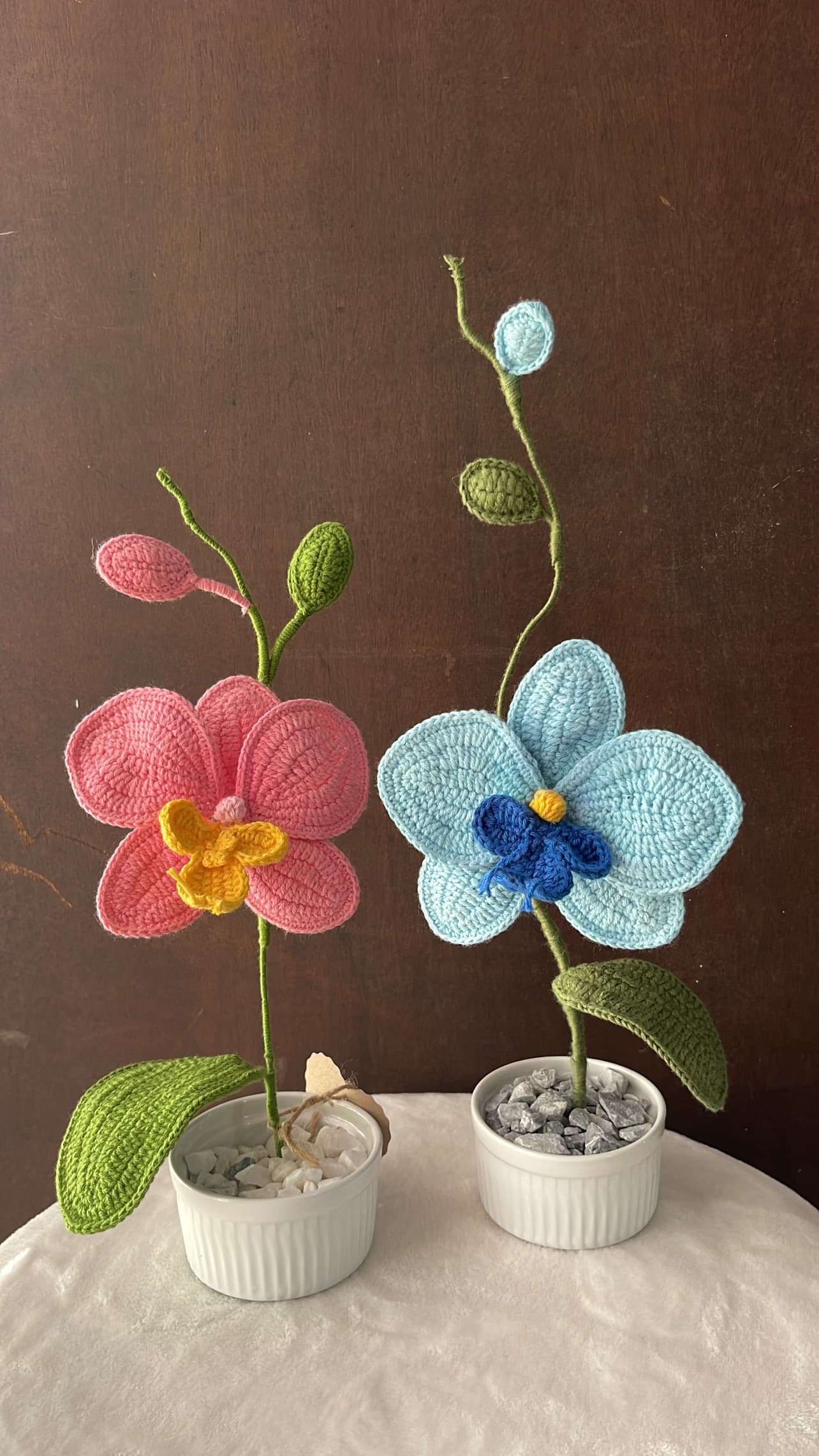 Maceta de Orquídeas