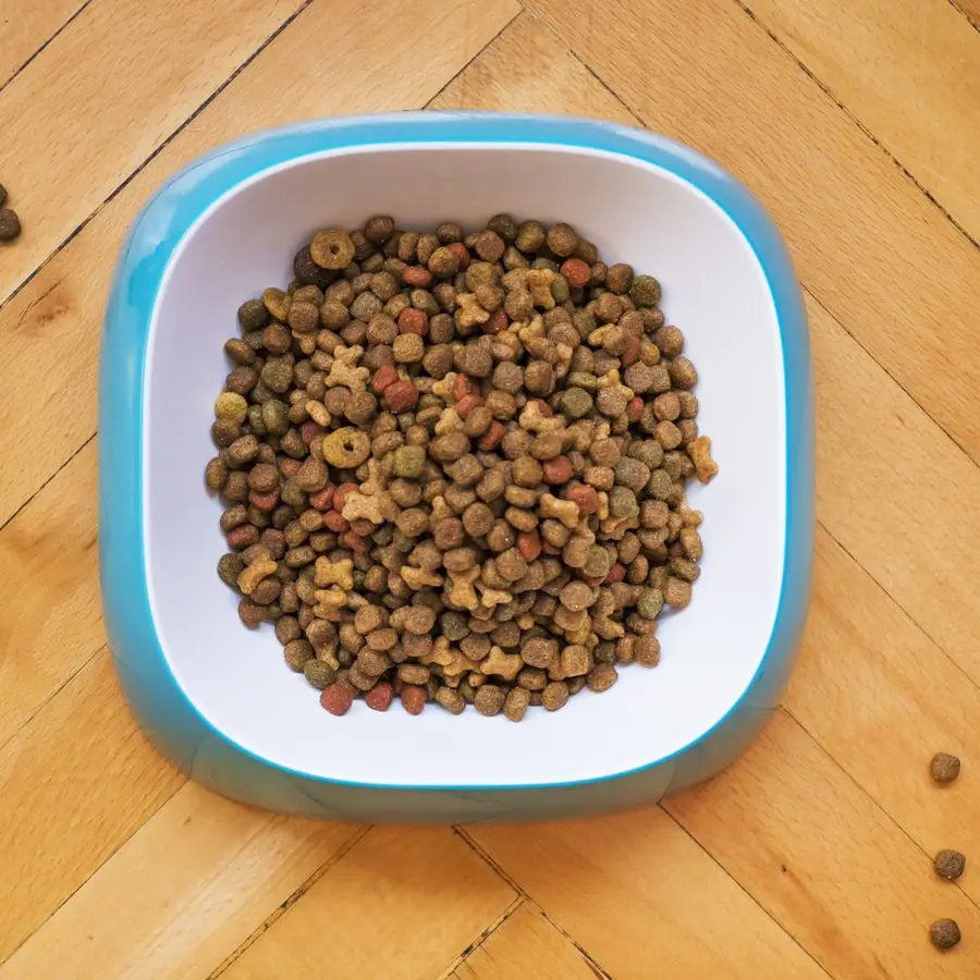 Alimento para perro adulto - Image 1
