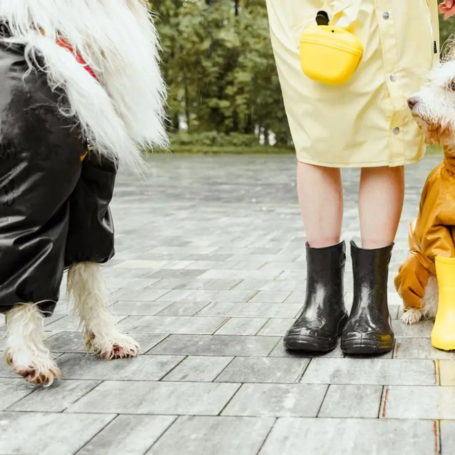 Impermeable para perro - Image 1