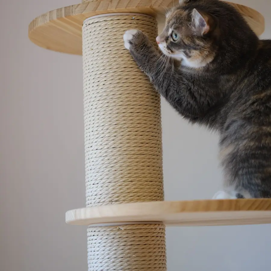 Rascador para gato