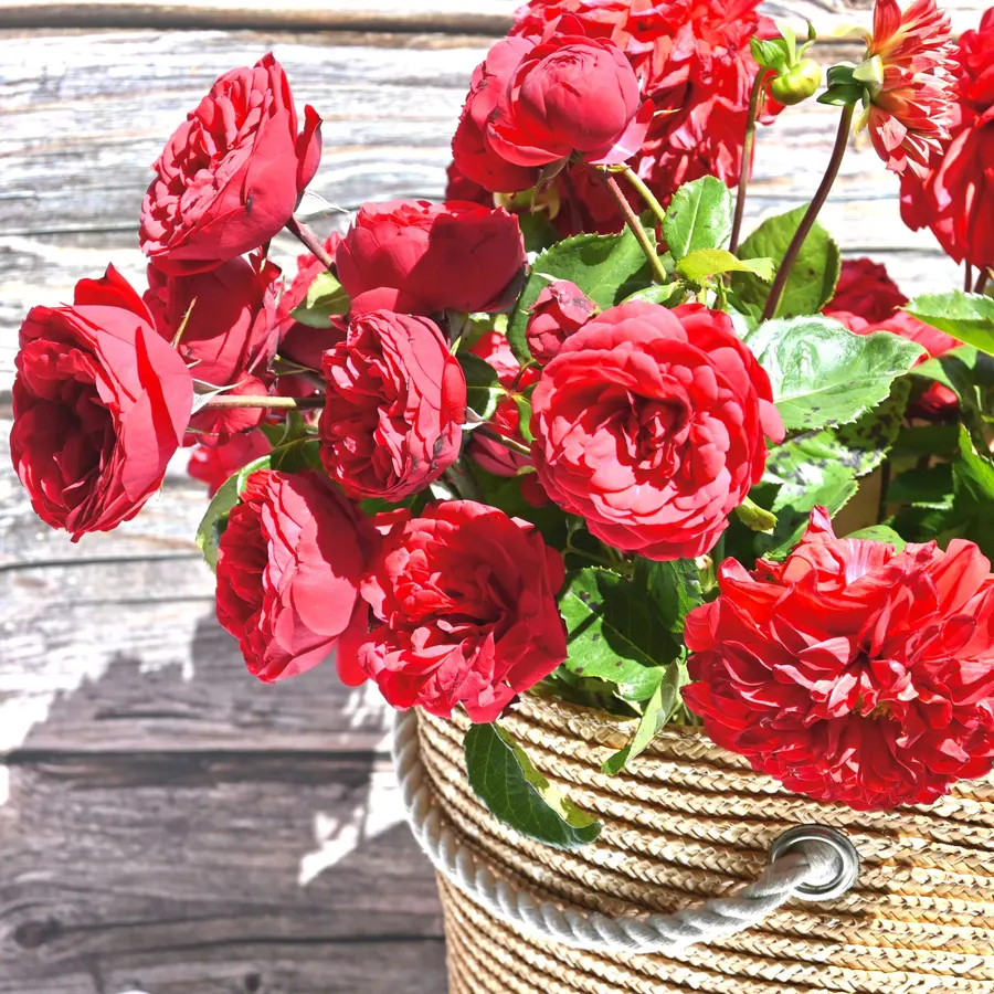 Canasta de rosas