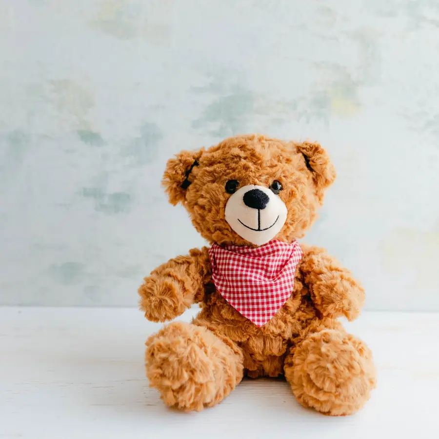 Osito de peluche - Image 1