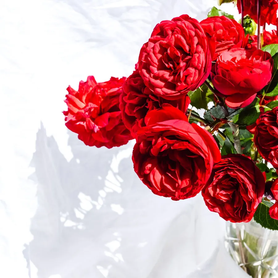 Ramo de rosas rojas - Image 1