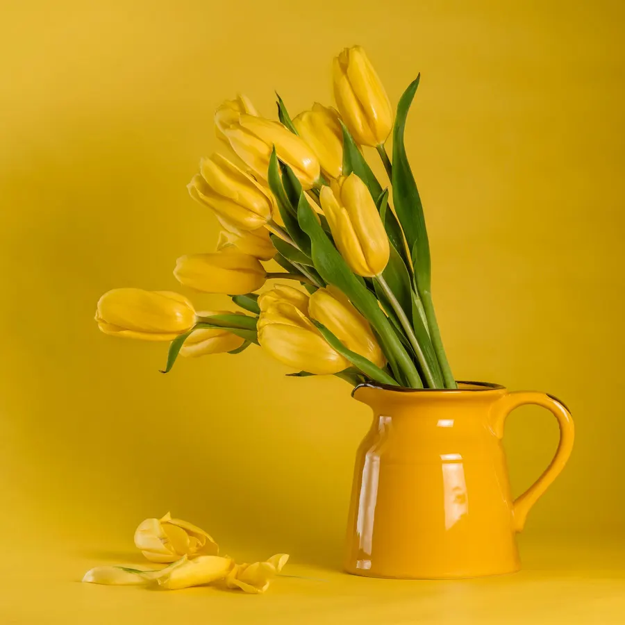 Tulipanes amarillos
