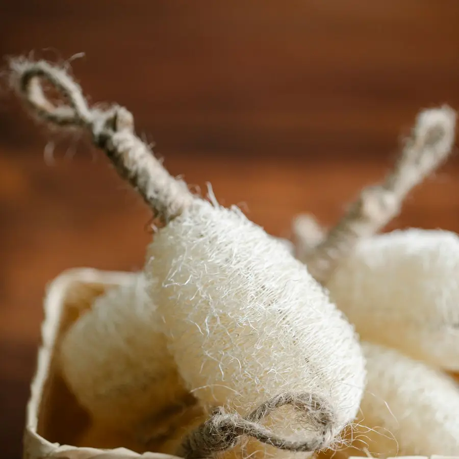 Esponja de luffa natural